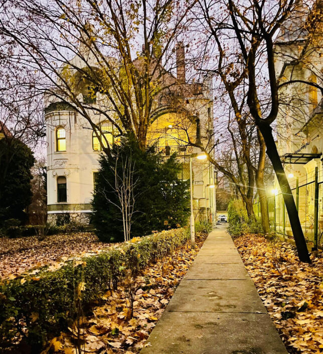 Home Staging, Városligeti fasor